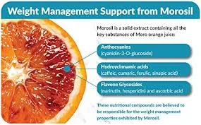 Nutrillis ™ BerryXlim Morosil