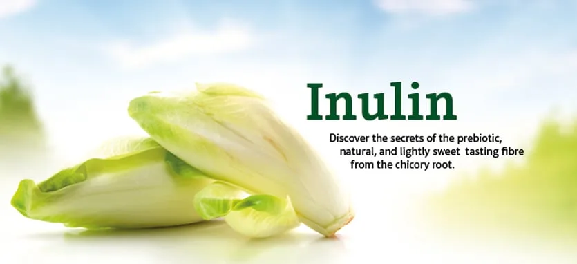 Nutrillis ™ BerryXlim inulin_eng_835x382px